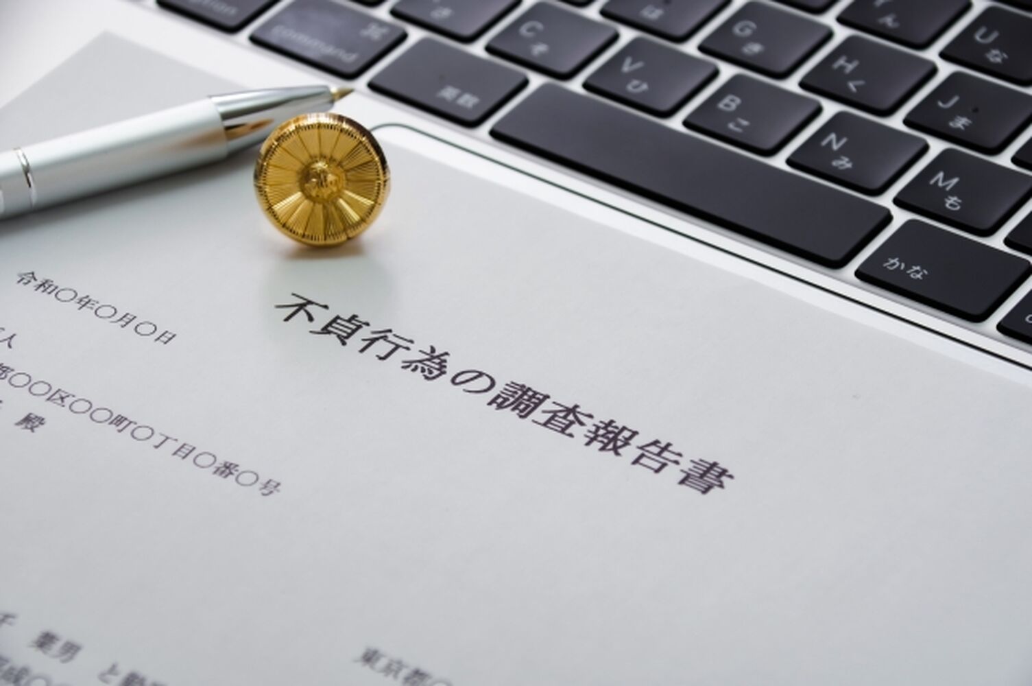 画像9261